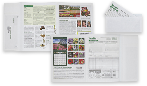 AGI_OFE_scoll_Bulbs_510w